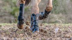 best turnout boots for horses
