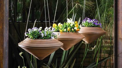 Three cone-shaped hanging baskets with small viola flowers inside