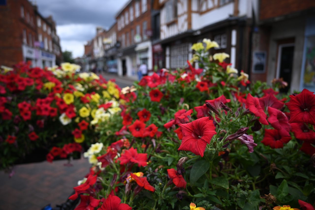 Nikon Z30 picture of flowers on a high street