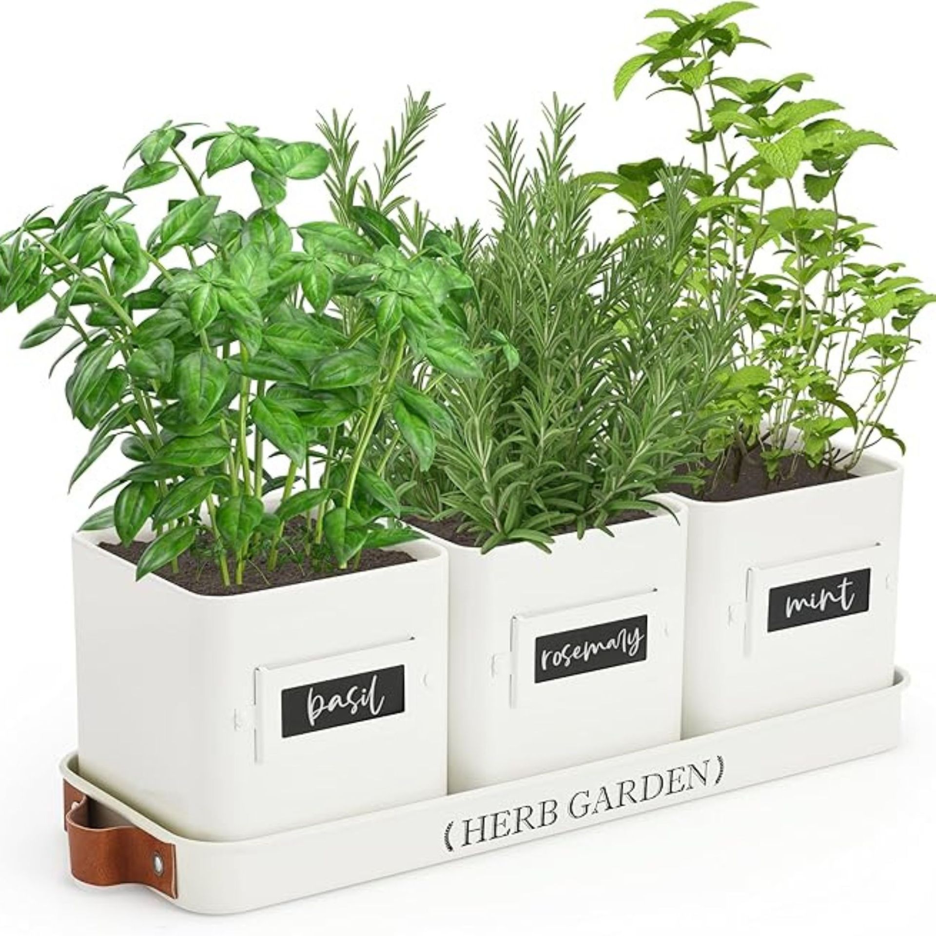 PERFNIQUE Indoor Herb Garden