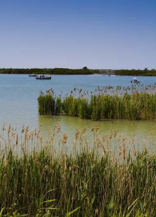 Po River Delta