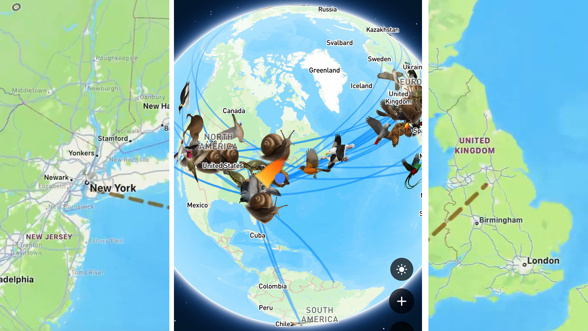 Carrier pigeon animal messaging apps