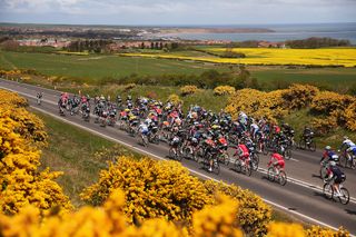 The peloton ride during Stage 1 of the Tour of Yorkshire from Bridlington to Scarborough