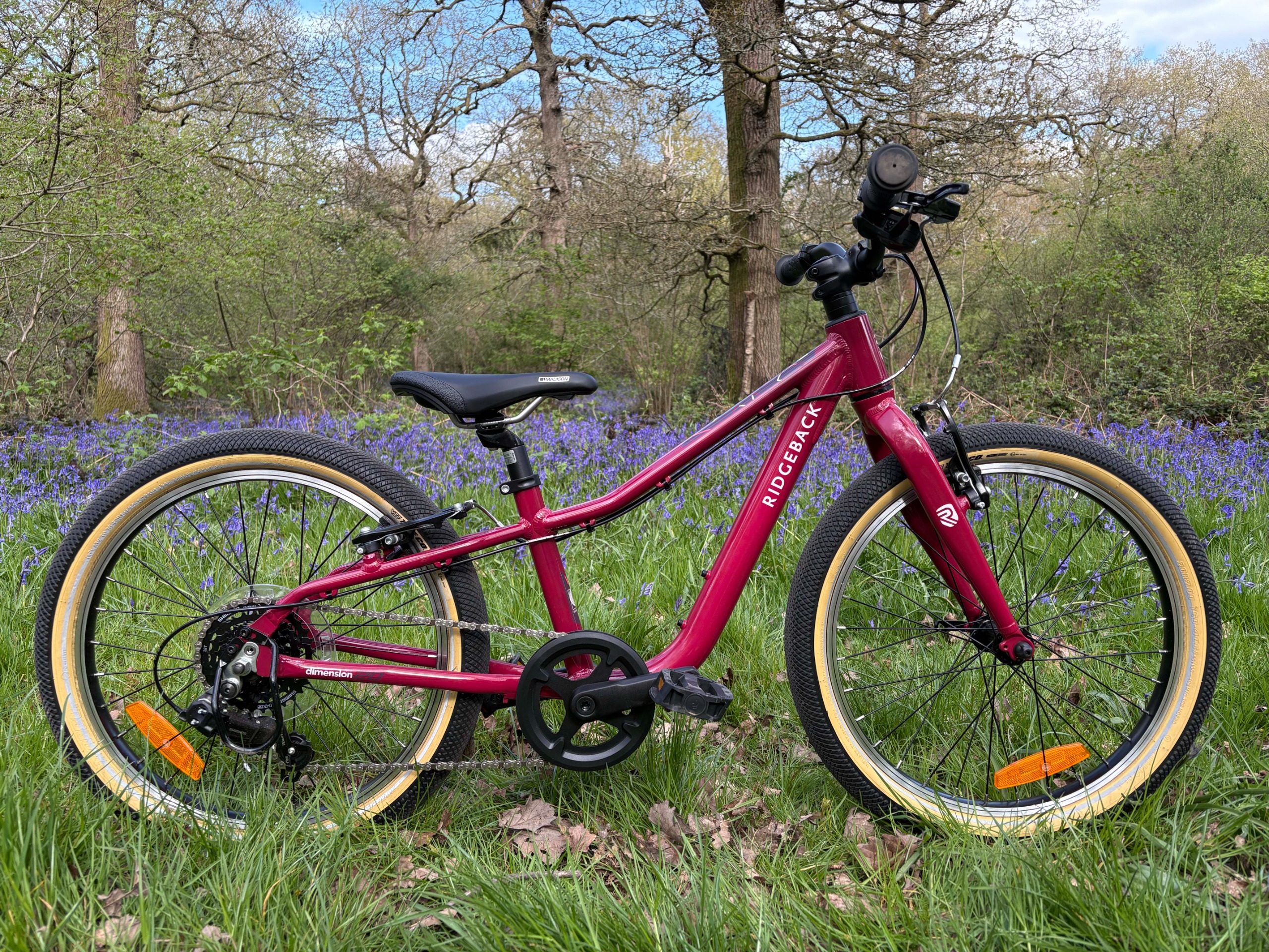 Ridgeback Dimension 20 children's bike