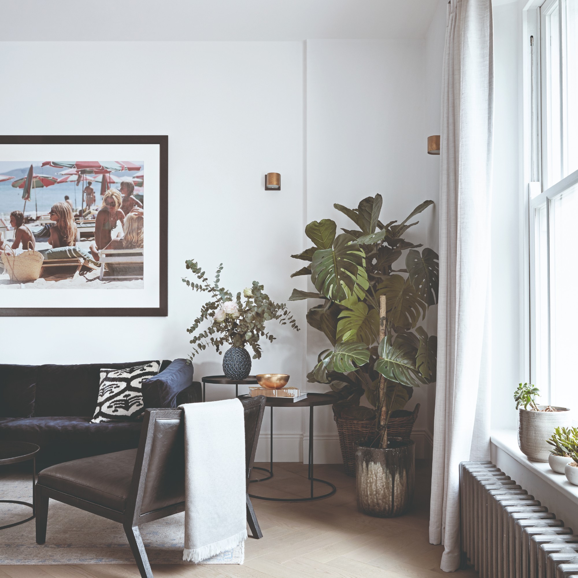 A brilliant white-painted living room with a large houseplant in the corner and a black velvet sofa
