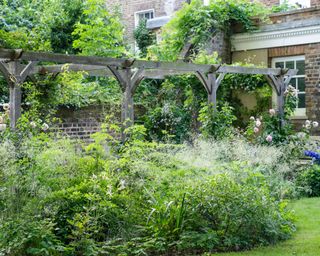 Wooden pergola with planting around and climbing roses creeping up the supports in garden design by Jo Thompson Garden Design