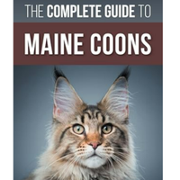 The Complete Guide To Maine Coons | Amazon