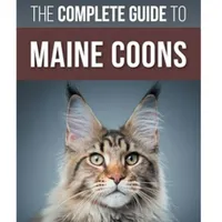 The Complete Guide To Maine Coons | Amazon