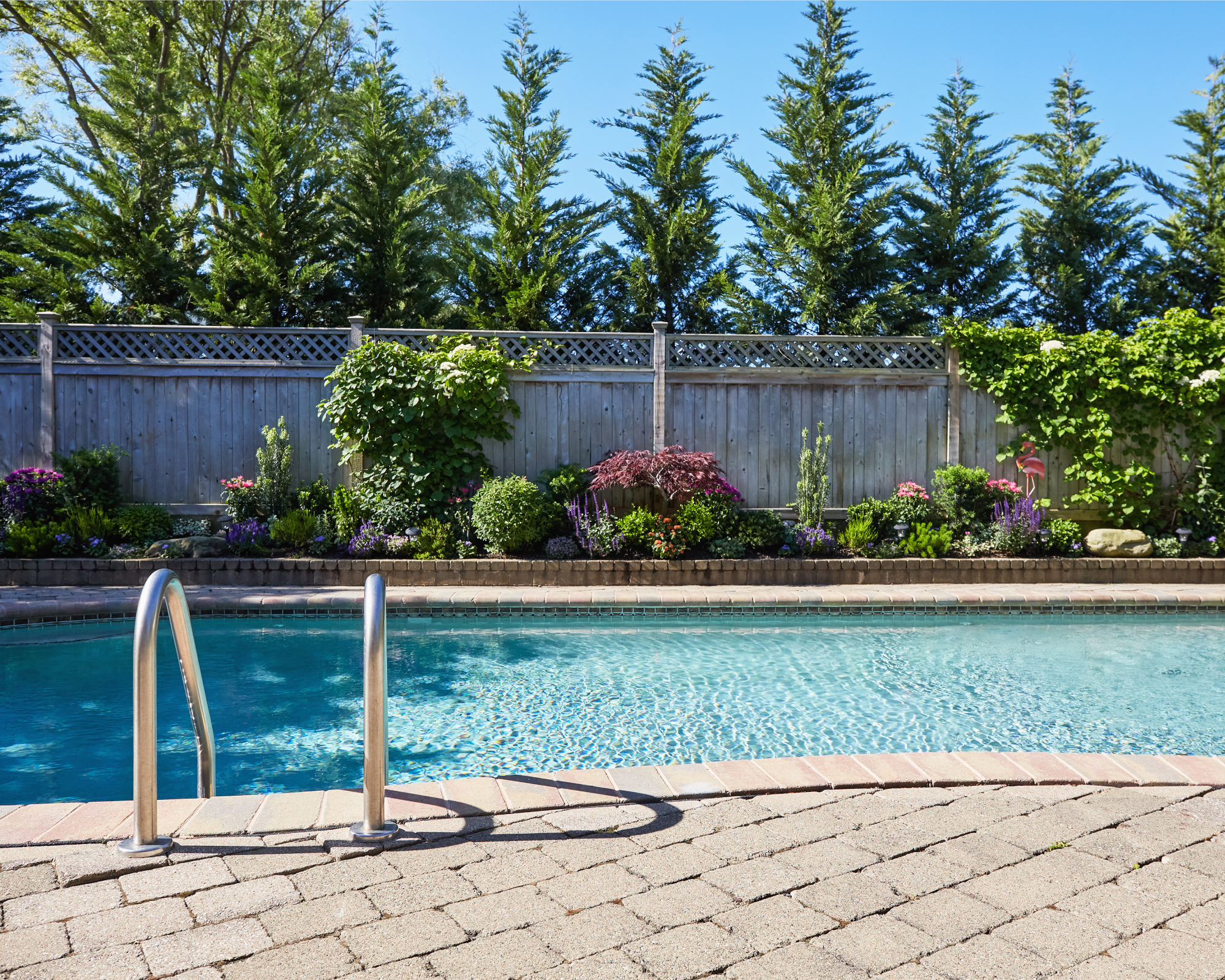 backyard pool with fence and plants