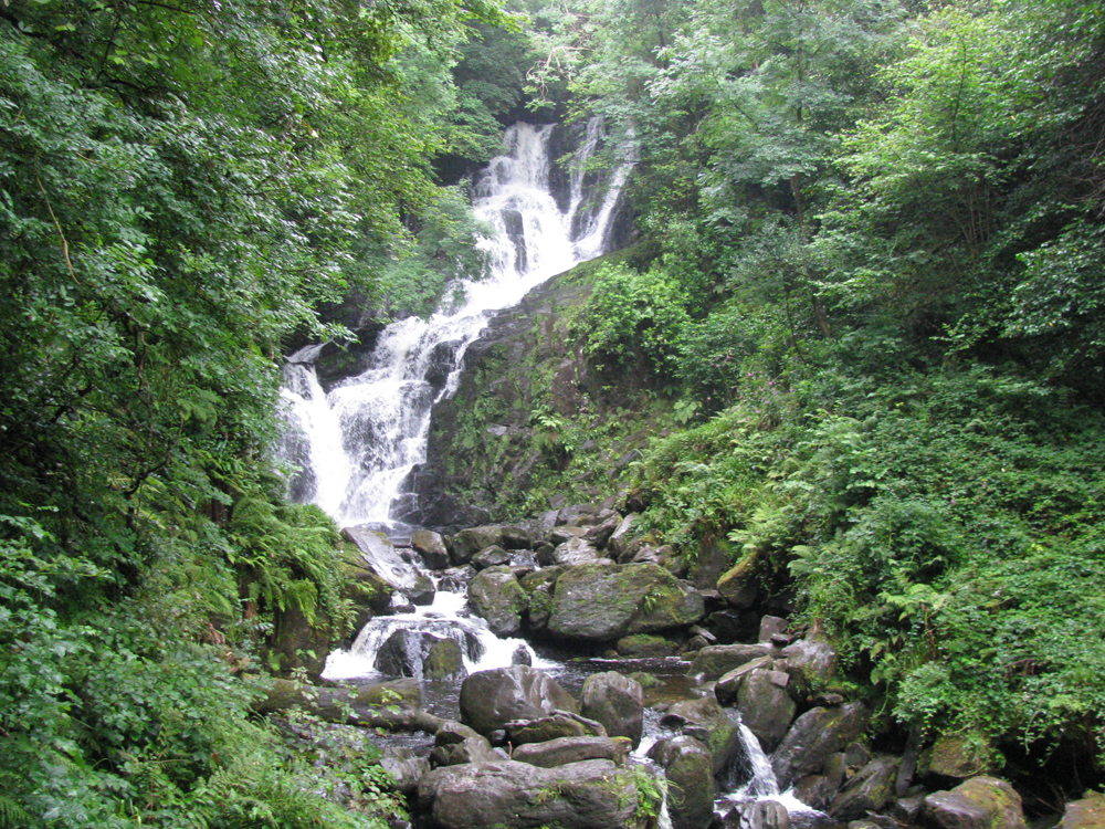 Land o' Green: Ireland's Killarney Park | Live Science