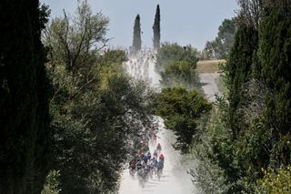 The pack rides through the countryside during the oneday classic cycling race Strade Bianche White Roads on August 1 2020 around Siena Tuscany Photo by Marco BERTORELLO AFP Photo by MARCO BERTORELLOAFP via Getty Images