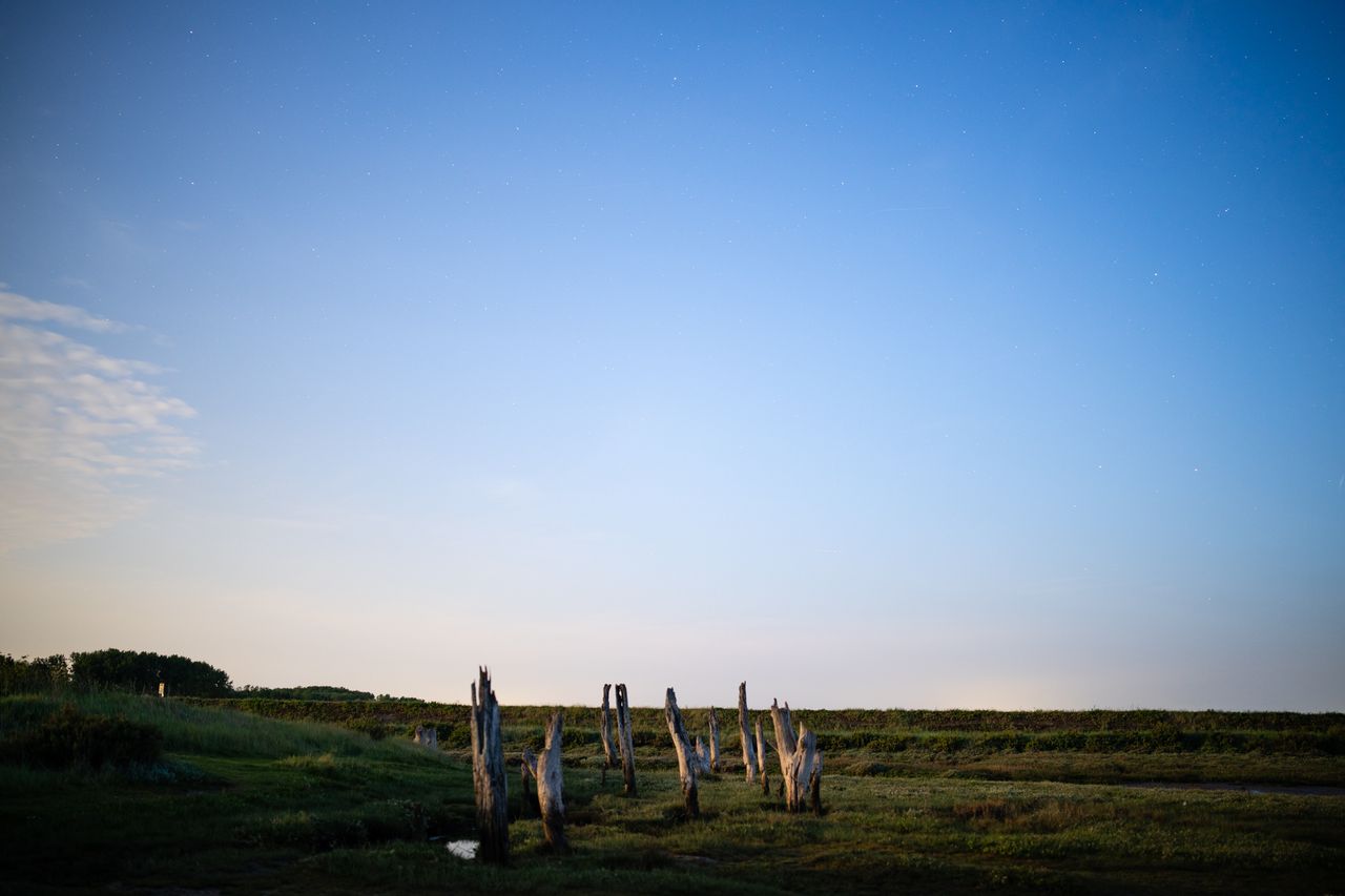 Photo of wooden posts taken with the Viltrox AF 35mm f/1.2 LAB FE under the June 2025 strawberry moon