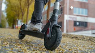 Bird electric scooter