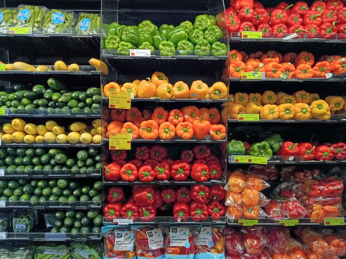 Motorola Moto G Play (2026) camera sample.