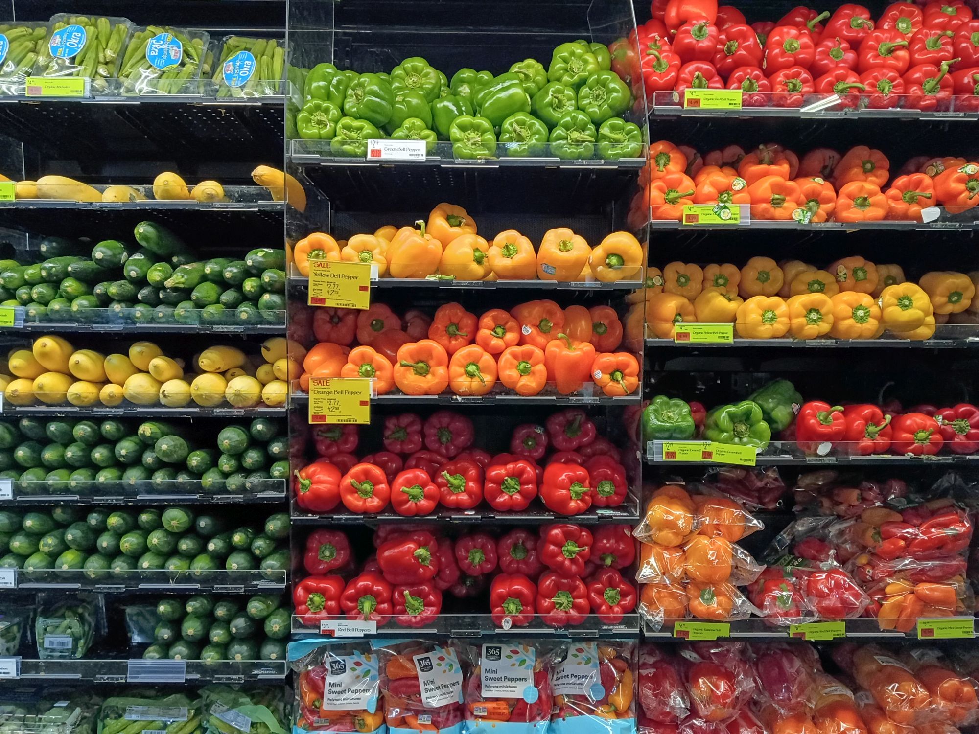 Motorola Moto G Play (2026) camera sample.