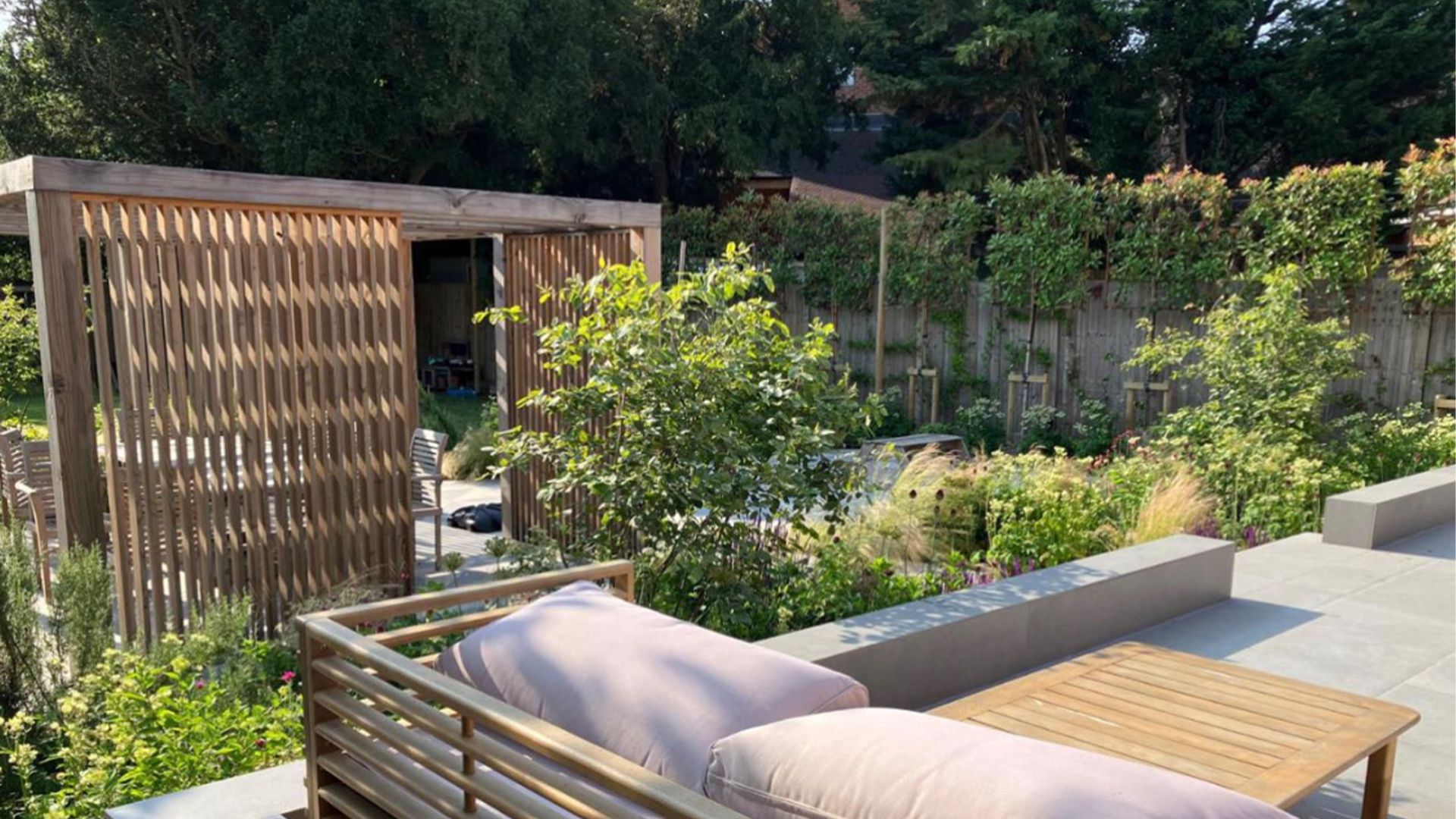 pleached trees lining a fence adjacent to a garden seating area