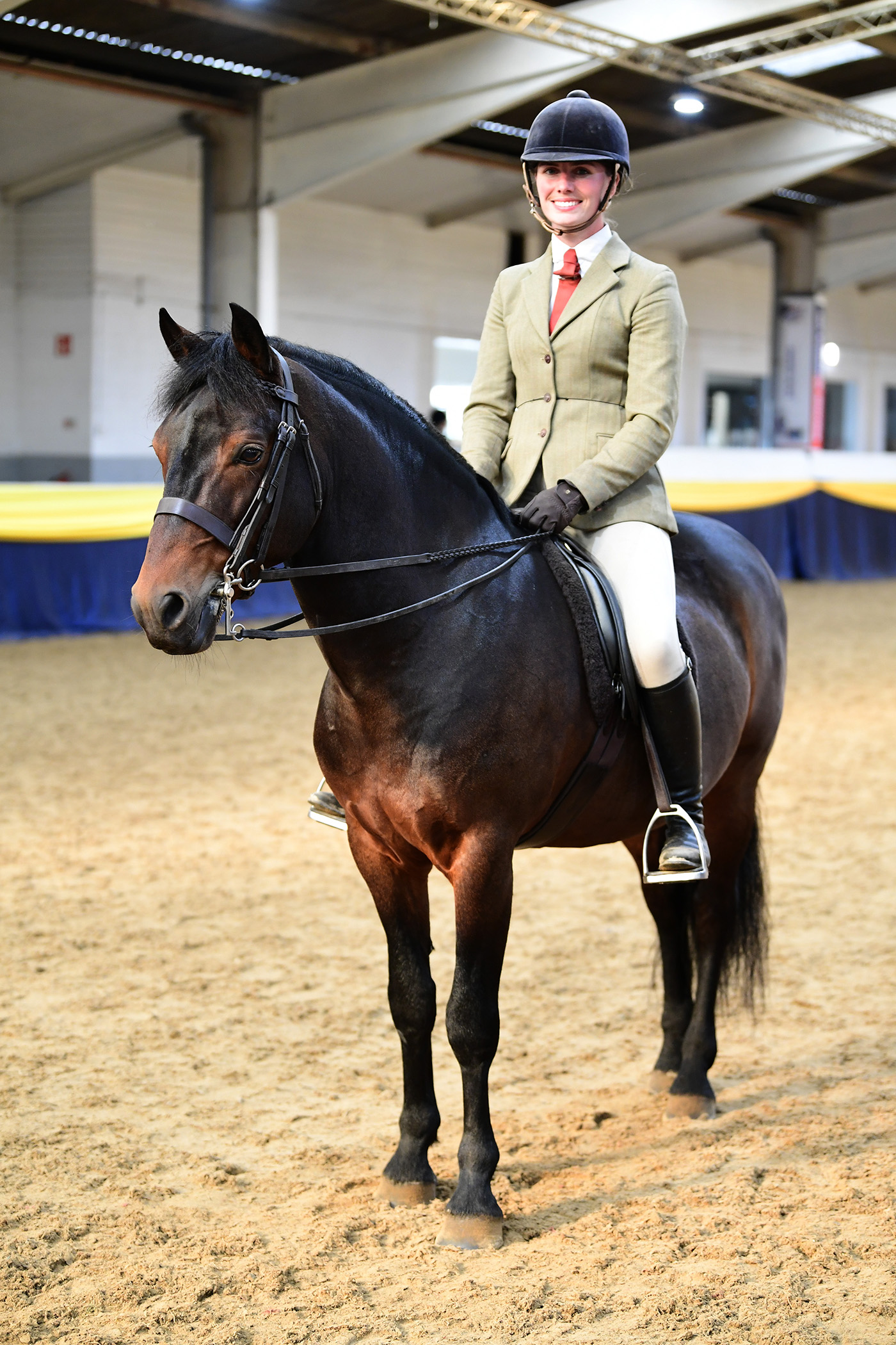 Heritage Show 15.10.2379004