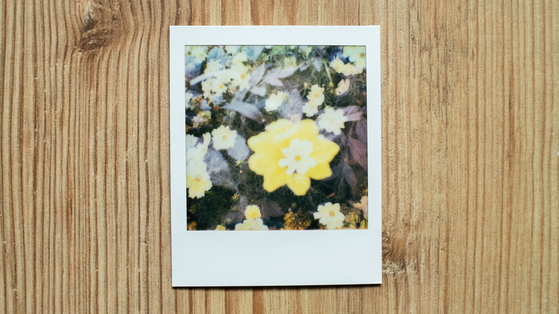 Polaroid Go 2 instant film image showing a double exposure