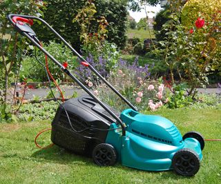 A corded lawnmower in front of a border
