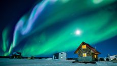 Northern lights glow green and purple above Great Slave Lake in the Northwest Territories of Canada.