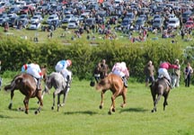 point-to-point3.jpg