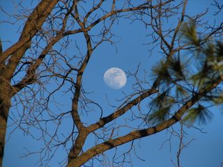 Moon on the First Day of Spring 2016