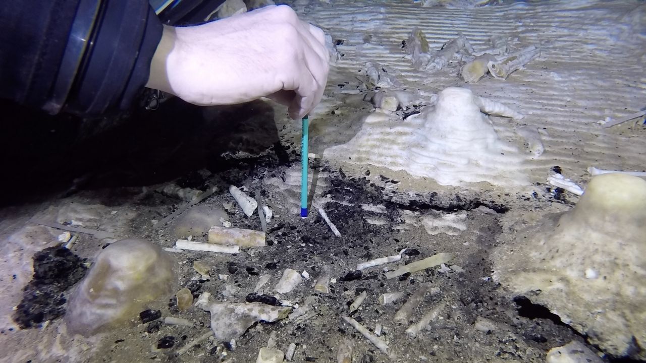 A diver examines the 12,000- to 10,000-year-old remains of charcoal from a fire burned by Indigenous people who mined the cave for ochre.