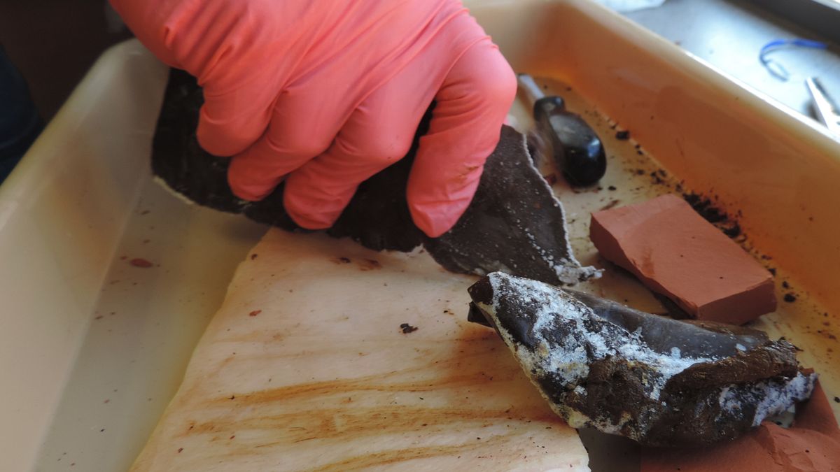 What a Waste! Frozen Poop Knives Are Crappy Cutters, Scientists Find