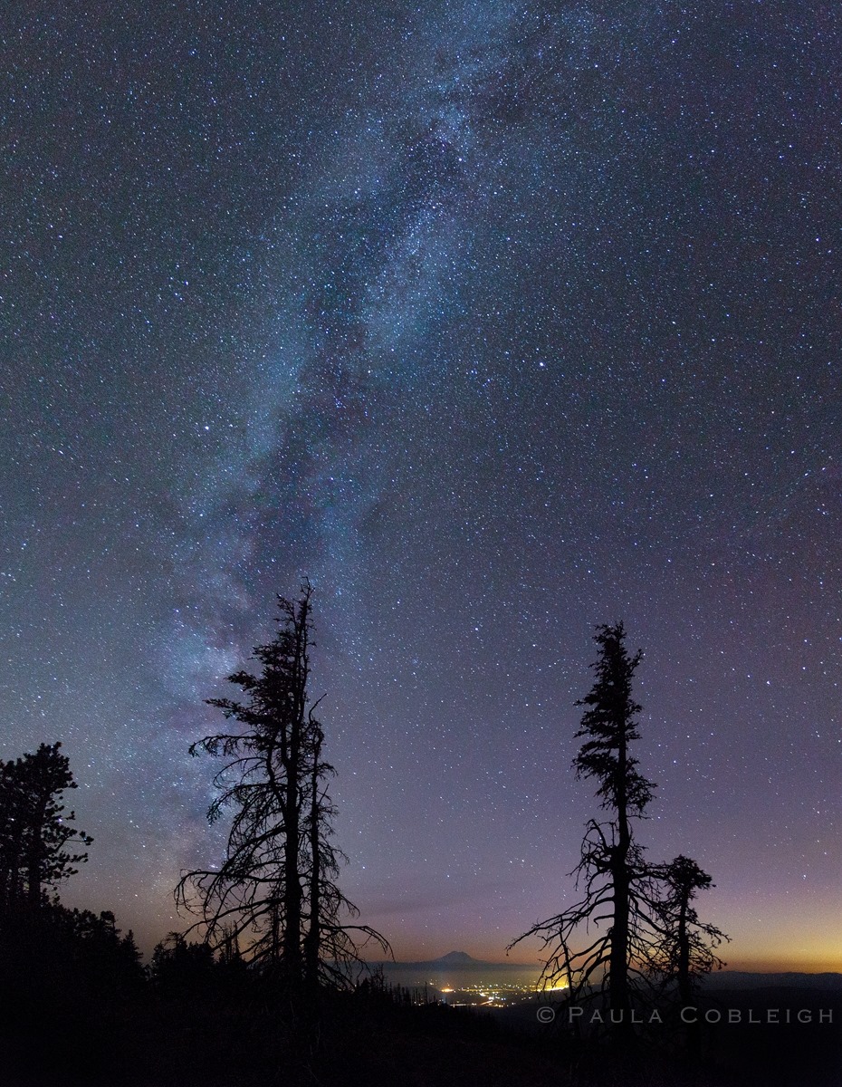 Milky Way Over Mount Rainier National Park 