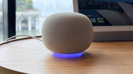 Google Home Speaker