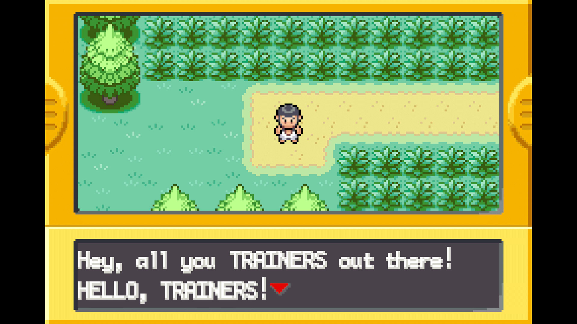 A character welcomes trainers in Pokemon FireRed and LeafGreen