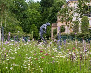wildflower meadow with statue beyond in a garden design by The Garden Design Company