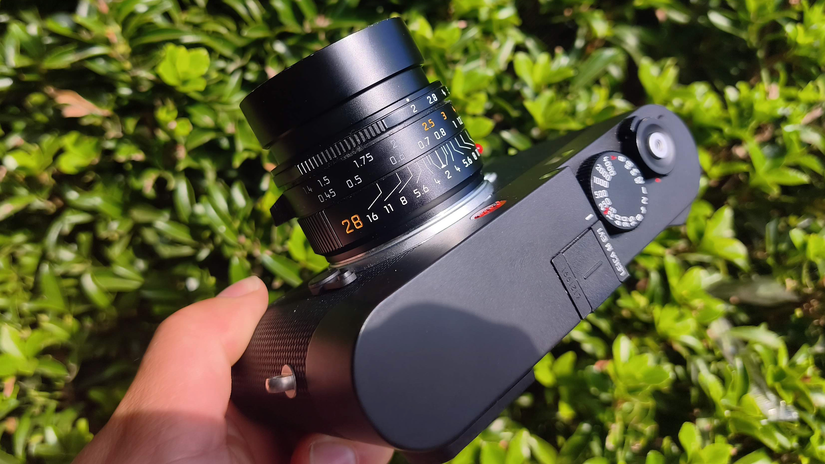 Leica 28mm Summicron-M f/2 ASPH. Model 11618
