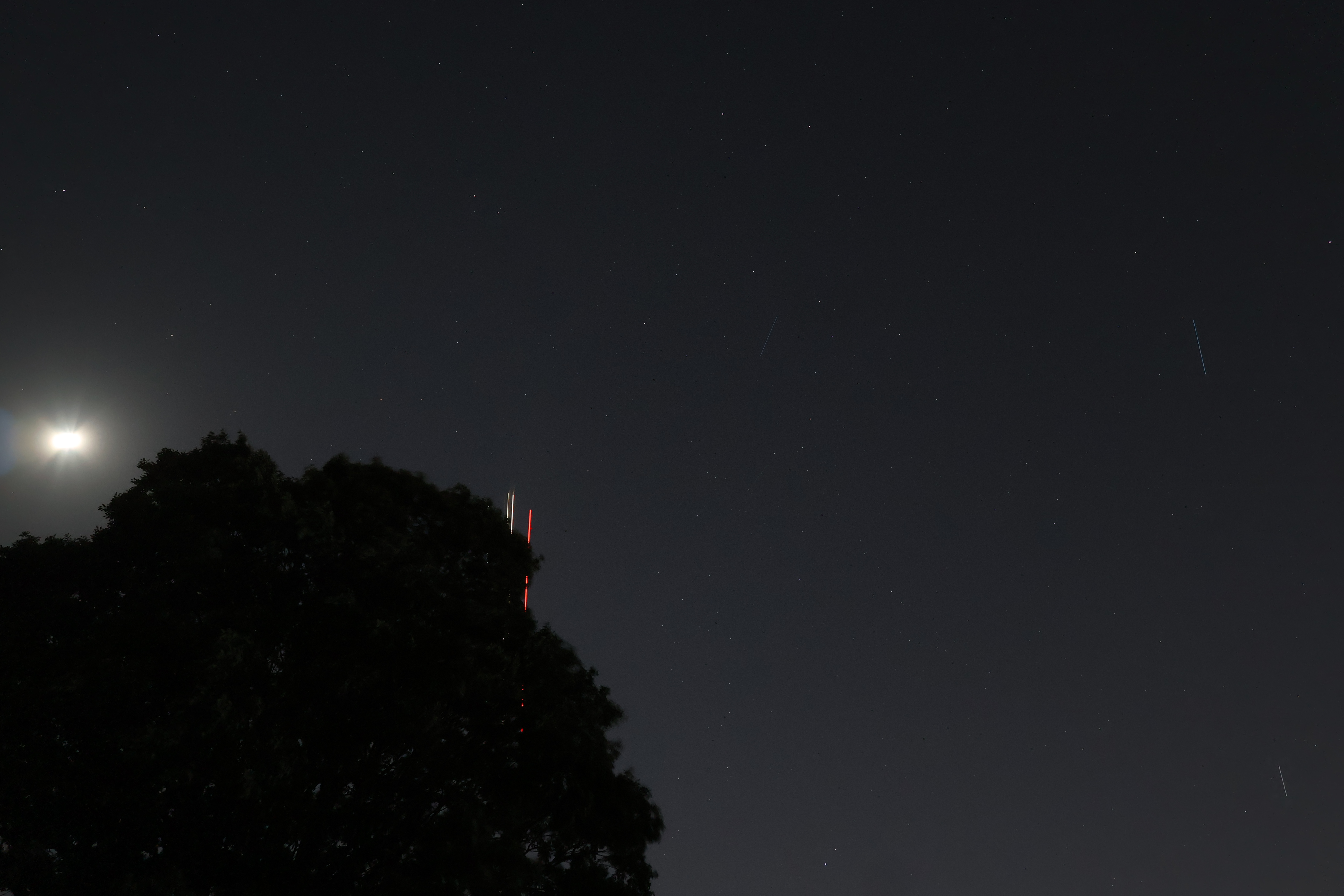 Picture of the stars and light trails of planes with a tree in the bottom left corner, taken on the Canon EOS R50 V.