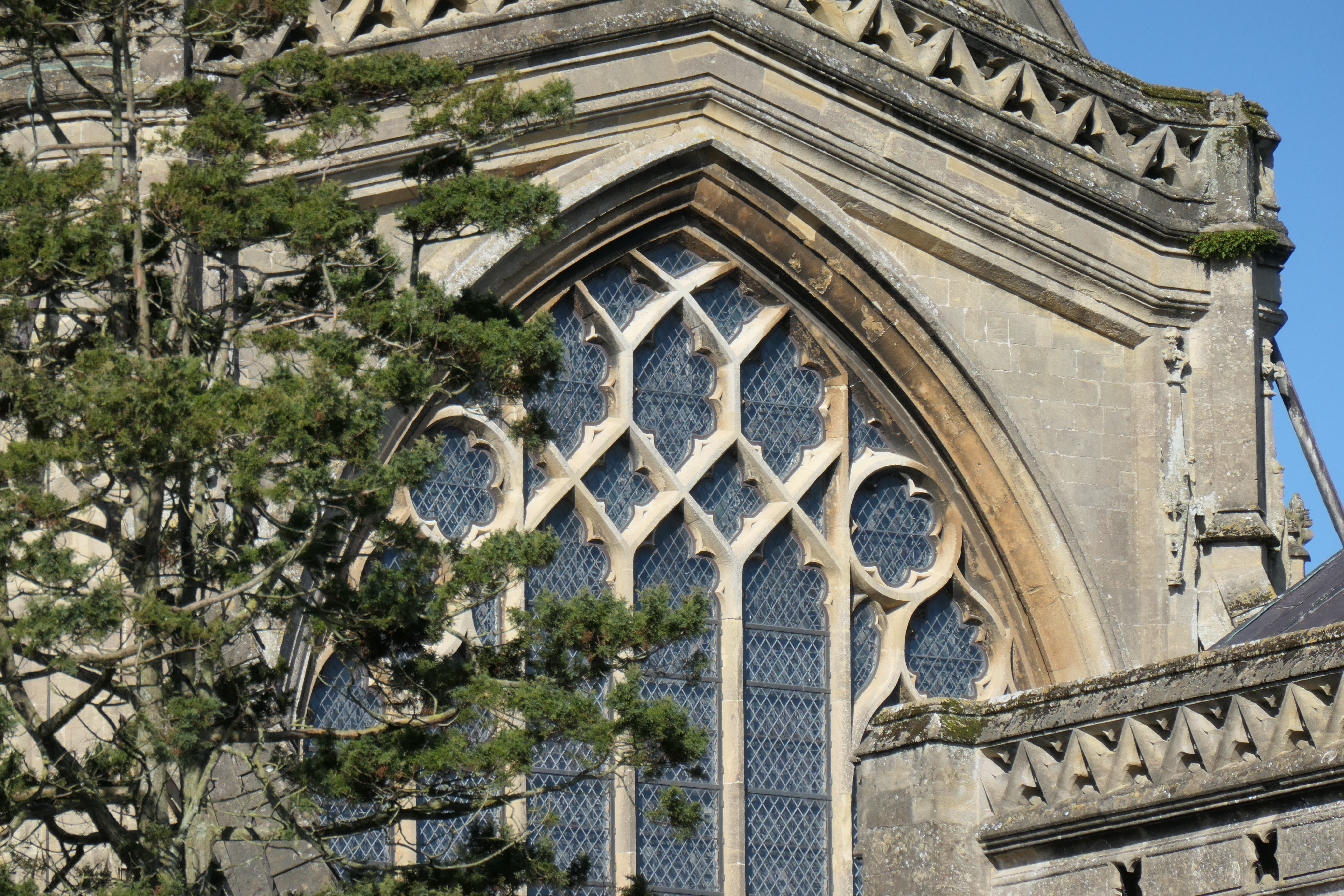 Panasonic Lumix ZS300 / TZ300 sample image