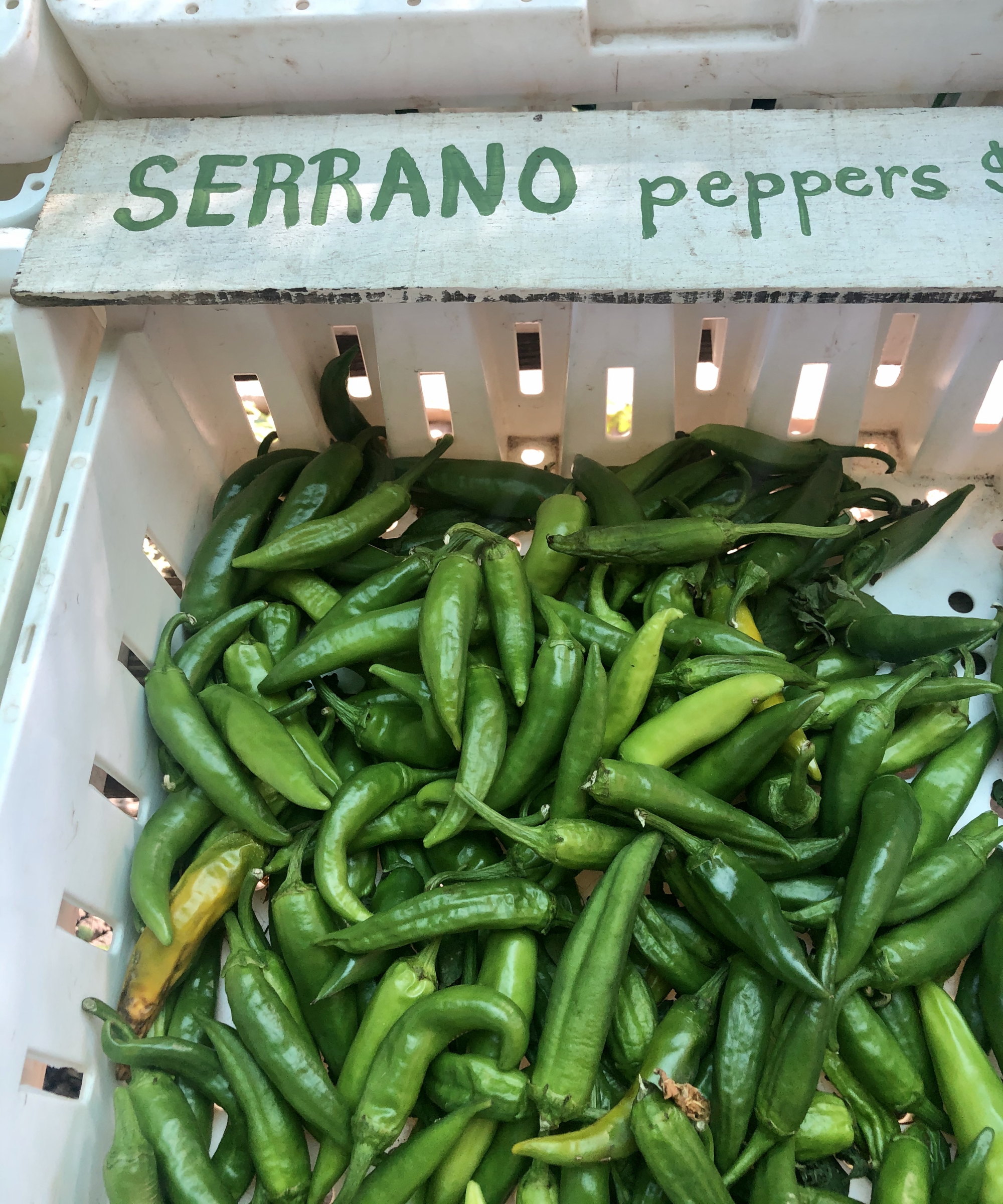 A crate of green serrano peppers at a farmers market