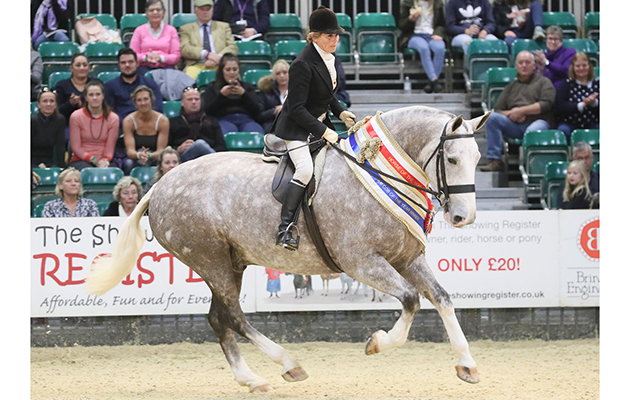 HOYS PR images 2017