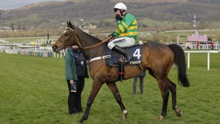 Nico de Boinville on Jonbon after finishing second in the Queen Mother Champion Chase during racing on day two of the Cheltenham National Hunt jump racing festival at Cheltenham Racecourse on March 12th 2025 in Gloucestershire, England 