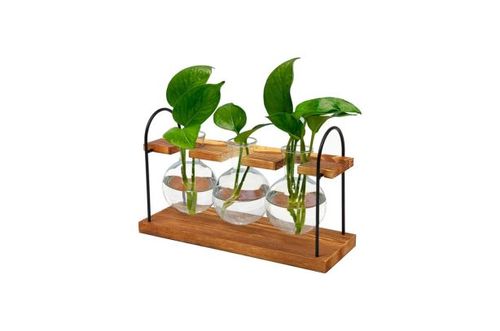 Propagation Station