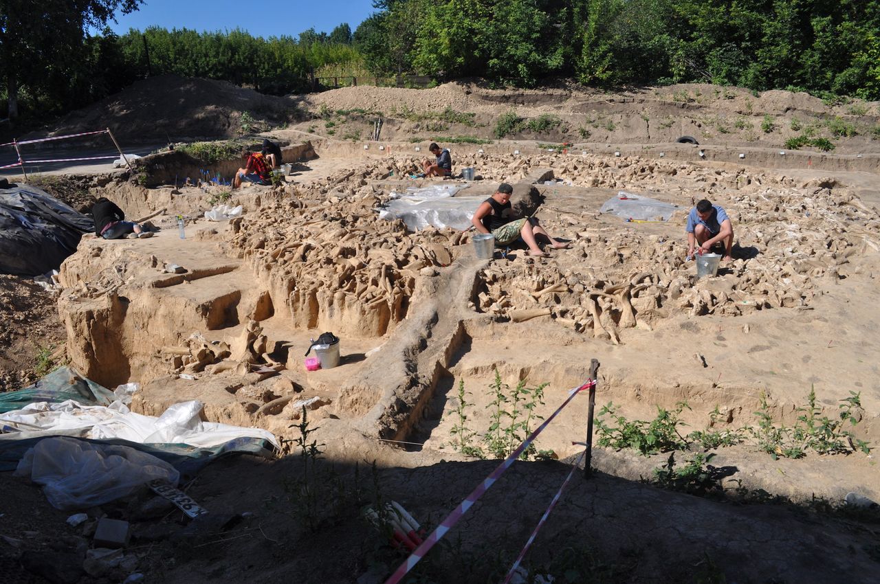 Archaeologists excavate the incredible bone structure made during the last ice age.