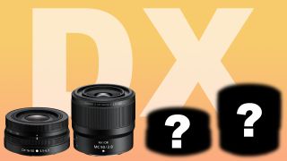 Four Nikon lenses (two are silhouettes) with big DX lettering in background on an orange gradient