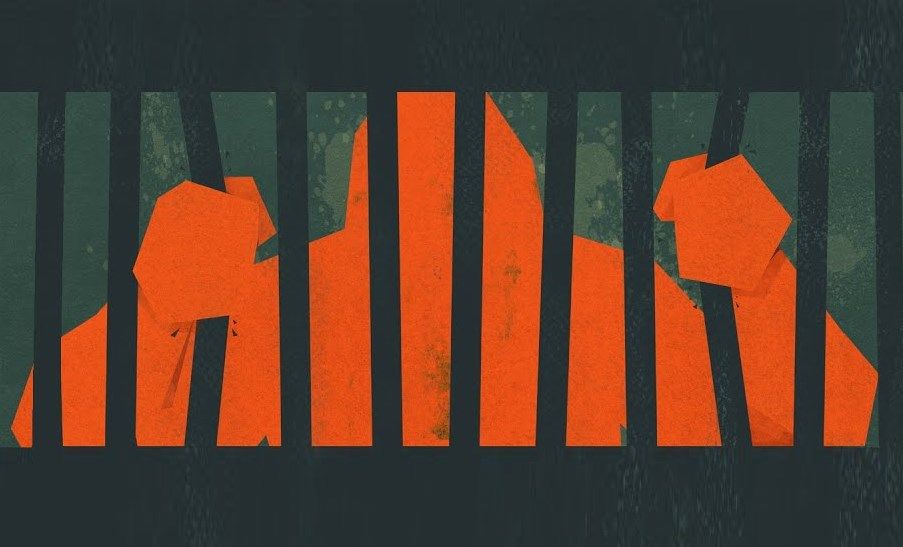 Ape Out review | PC Gamer
