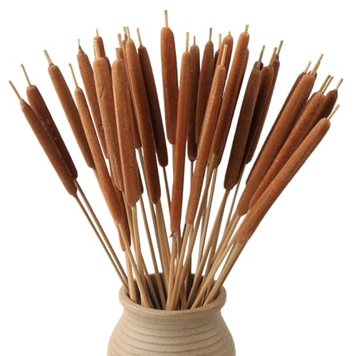 Mihuage Dried Natural Cattails - 20pcs for Diy Floral Arrangements and Home Office Decor - 17 Inch Length