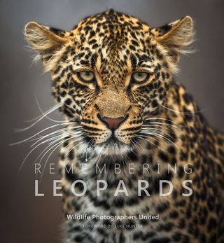 Book cover of Remembering Leopards