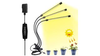 tall grow light