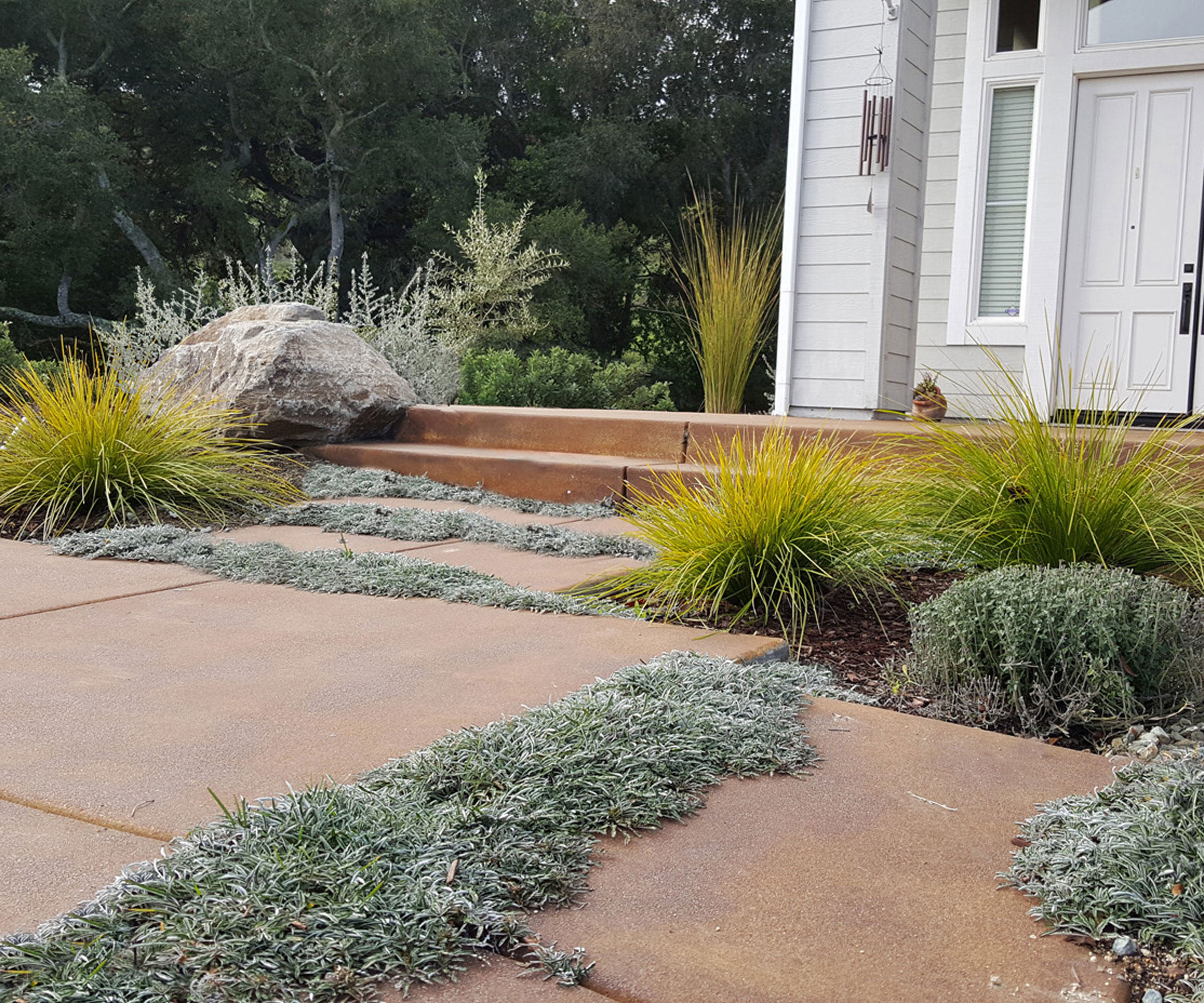 pavers with dymondia groundcover plants creeping along the cracks, with beds of ornamental grass and steps up to porch