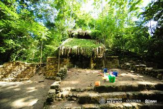 Archaeologists had some trees removed so that the palace excavation could go forward. Now, scientists may plant new trees to protect the delicate ruins.