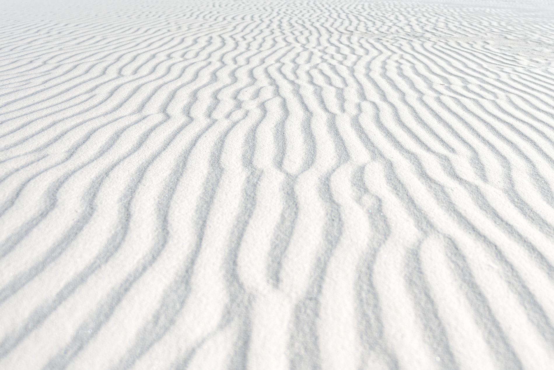 GuruShots - Mostly White October 2025