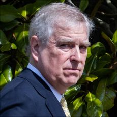 Prince Andrew has grey hair and looks downcast as he wears a suit and stands in front of a hedge