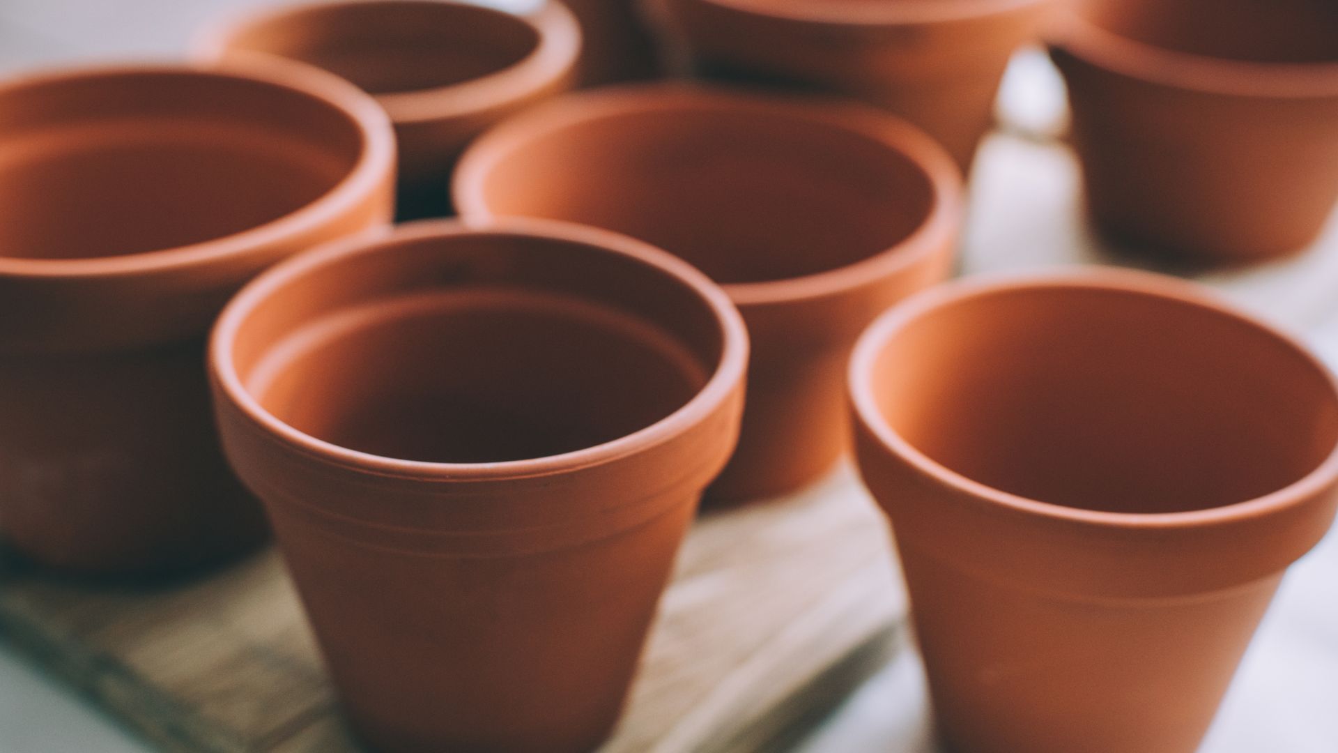 Picture of small terracotta pots empty and lined up to support Dangerous heating hacks
